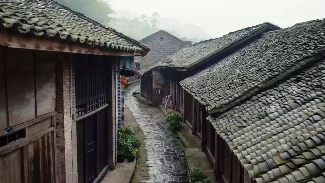 今日大寒|冬去寒将尽,养生待春归